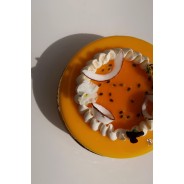 Coco Cay - Maison Thevenin