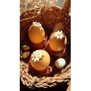 Oeuf de Paques - Maison Thevenin