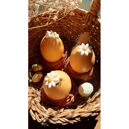 Oeuf de Paques - Maison Thevenin